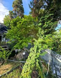 JALAN JAMAL (D15), Detached #548787091